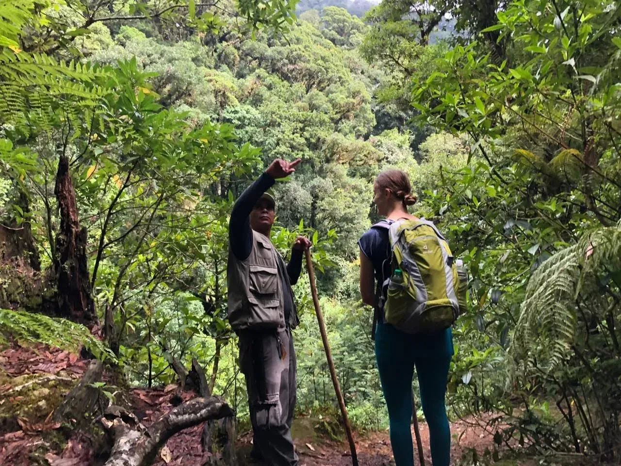 Un guía señala un valle cubierto de bosque mientras un excursionista con mochila verde escucha.